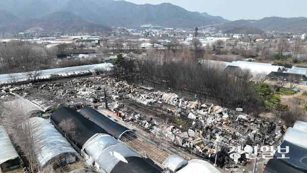 24일 오후 과천시 꿀벌마을 주거용 비닐하우스 단지가 화재로 인해 잿더미로 변했다. 2025.3.24 /최은성기자 ces7198@kyeongin.com
