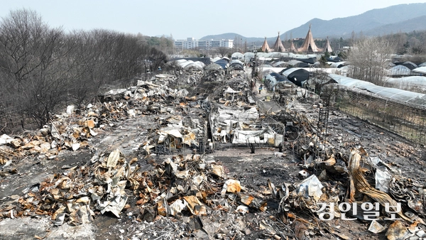 24일 오후 과천시 꿀벌마을 주거용 비닐하우스 단지가 화재로 인해 잿더미로 변했다. 2025.3.24 /최은성기자 ces7198@kyeongin.com