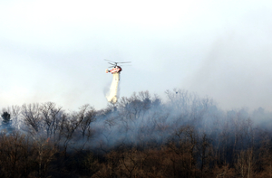 인천시, 영남 산불 관련 24시간 대응 유지