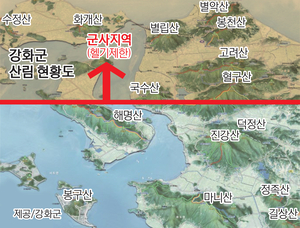 강화, 임도 없어 불길 확산 무방비… 접경지라 헬기까지 제한