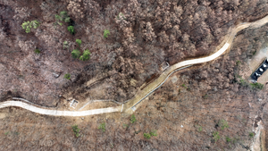 “산불진화 확충” vs “산사태 위험 커” 논란의 중심 된 ‘임도’