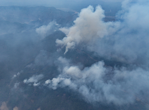 [영상+] 영남 산불 27명 사망… 3만6천㏊ 산림 소실