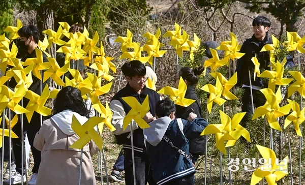 세월호 참사 11주기를 앞둔 29일 오후 인천시 부평구 인천가족공원 내 세월호 일반인 희생자 추모관에서 희생자를 추모하는 의미의 노란색 바람개비를 설치하는 ‘노랑 드레 언덕’행사에 참석한 참가자들이 바람개비를 설치하고 있다. 2025.3.29 /조재현기자 jhc@kyeongin.com