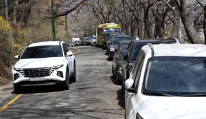 [포토] 빽빽한 도로변, 불법 주정차 줄줄이