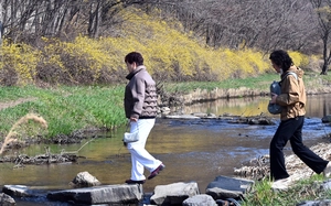 [포토] 봄옷 입은 개나리