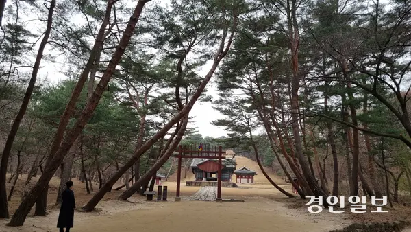 동구릉에는 조선을 건국한 태조의 건원릉이 1408년 조성된 이후로 1855년 효명세자인 문조의 수릉까지 450여년간 7명의 왕과 10명의 왕비가 모셔졌다. 사진은 건원릉 입구. 2025.3.27 구리/권순정기자 sj@kyeongin.com