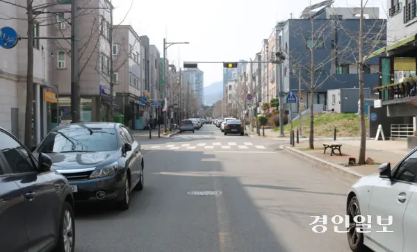 성남시가 인도를 축소한 뒤 도로변을 따라 노상주차장 건립을 추진 중인 판교공원로 모습. 가로수로 은행나무들이 식재돼 있다. /2025.4.4 성남/김순기기자 ksg2011@kyeongin.com