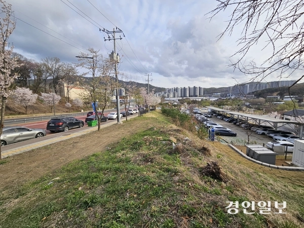 지난 주말 의왕시 무민공원 내 주차장과 임시주차장이 차량들로 빼곡 차 있다. 2025.4.13 의왕/송수은기자 sueun2@kyeongin.com