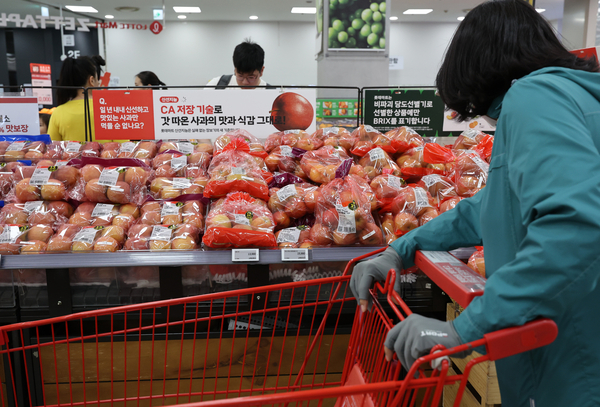 사과 주산지인 경북 북부지역이 대형 산불로 큰 피해를 보면서 사과값이 크게 올라 ‘금사과’ 현상이 재현될 수 있다는 우려가 나오고 있다. 농산물유통 종합정보시스템에 따르면 4월 중순 기준 전국도매시장 1㎏ 당 사과 가격은 6천912원으로 평년 같은 시기 대비 2천879원(71%) 상승했다. 사진은 16일 서울 한 마트 사과 판매대. 2025.4.16 /연합뉴스