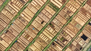 [화보] ‘곡우’ 앞두고 텃밭 가꾸기