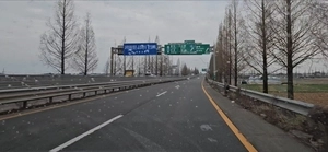 잘려나간 평택 메타세쿼이아 수십그루, ‘절차·협의 없었다’