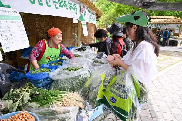 양평군이 25~27일 용문산 산나물 축제 개최를 앞두고 축제 장소 일대에 대한 재정비 등을 하면서 본격적인 손님맞이 준비를 마쳤다. 군은 다회용기 사용, 저렴한 음식 가격 등으로 ‘착한 축제’로서의 이미지를 굳혀나간다는 방침이다. /양평군 제공