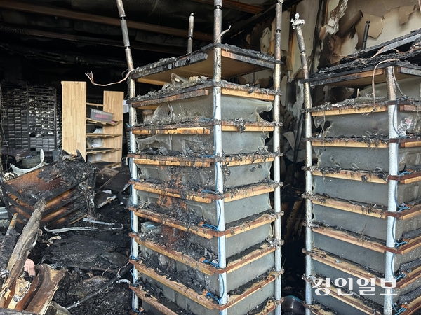 지난 17일 고양시 일산서구 구산동의 한 파충류 사육장에서 난 불로 도마뱀 900여마리가 폐사한 가운데 플라스틱 성분의 사육장 ‘렉사’가 불에 녹은 채 방치돼 있다. 2025.4.20 /목은수기자wood@kyeongin.com