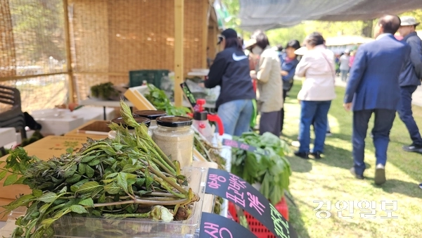 ‘제15회 양평 용문산 산나물축제’가 25일 용문산 관광지 일원에서 개막했다. 방문객들이 산나물 부스에서 산나물을 구매하고 있다. 올해 용문산 산나물 축제는 용문산관광지 일원에서 25~27일 3일간, 용문역 일원에서 26~27일 양일간 열린다. 2025.4.25 양평/장태복기자 jkb@kyeongin.com