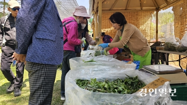 25일 용문산 관광지 일원에서 펼쳐진 ‘제15회 양평 용문산 산나물축제’ 방문객들이 산나물을 구매하고 있다. 올해 용문산 산나물 축제는 용문산관광지 일원에서 25~27일 3일간, 용문역 일원에서 26~27일 양일간 열린다. 2025.4.25 양평/장태복기자 jkb@kyeongin.com