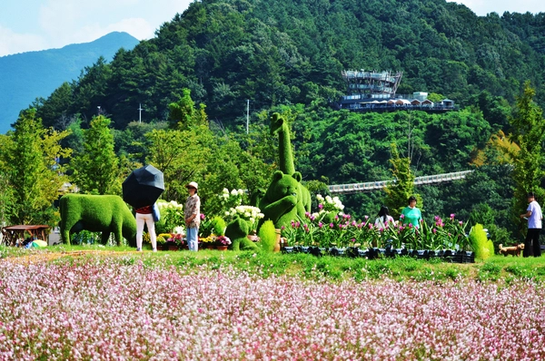 지난해 한탄강에서 열린 가든페스타. 시니어 모델들이 Y자형 출렁다리를 배경으로 사진을 촬영하고 있다. 2025.4.19 /포천시 제공