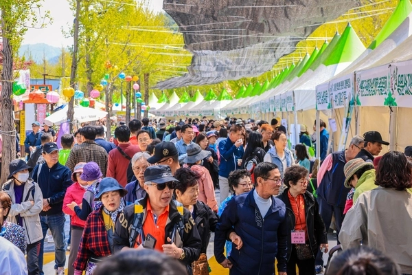 제15회 양평 용문산 산나물축제가 약 15만명의 방문객을 끌어모으며 성료했다. /양평군 제공