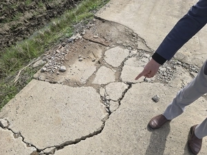 나무절단 이어… 평택 38호선 신궁리 매립과정서 농로까지 파손 ‘성난 농심’