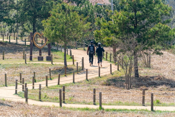 월명산에는 930m 길이의 숲속 황톳길 및 황토볼 체험장과 자연을 오감으로 느낄 수 있는 다양한 체험 공간이 마련돼 있다. /군산시 제공