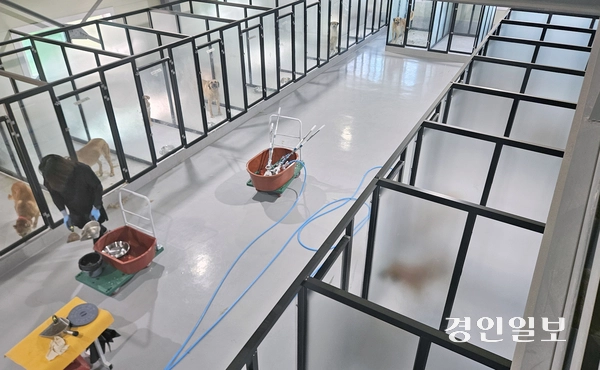 최근 인천 계양산 개발제한구역(그린벨트)에서 경기 파주 광탄면으로 이사한 동물보호시설 ‘아크보호소’의 직원이 지난달 29일 오전 견사를 청소하고 있다. 2025.4.29 /변민철기자 bmc0502@kyeongin.com