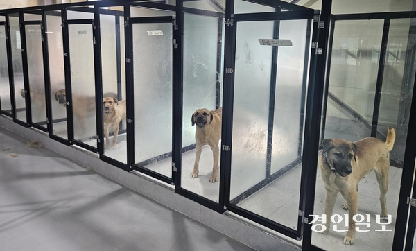 최근 인천 계양산 개발제한구역(그린벨트)에서 경기 파주 광탄면으로 이사한 동물보호시설 ‘아크보호소’의 모습. 2025.4.29 /변민철기자 bmc0502@kyeongin.com