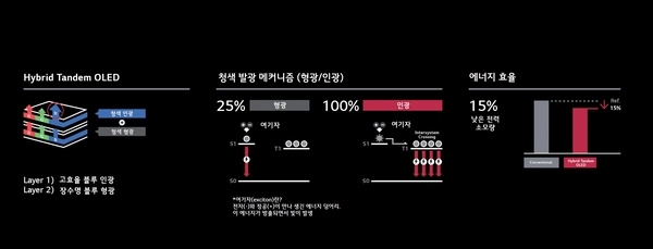 OLED 패널의 ‘형광과 인광의 발광 메커니즘’. /LGD 제공