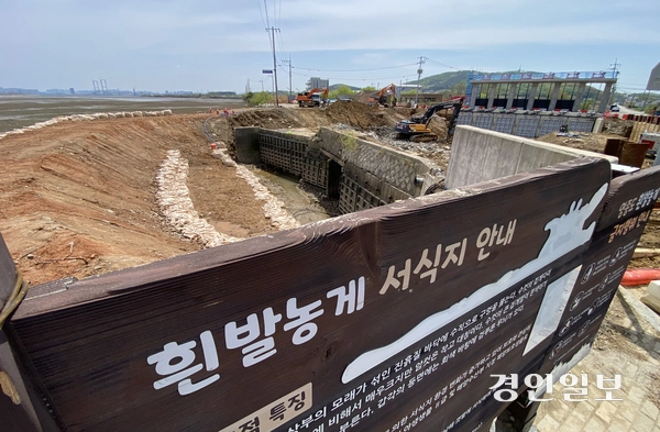 지난 2일 오전 인천시 중구 영종동 해안순환도로 동강천 교량공사현장 한편에 멸종위기 야생생물 II급이자 인천 깃대종 흰발농게 서식지 알림판이 놓여져 있다. 2025.5.2 /조재현기자 jhc@kyeongin.com