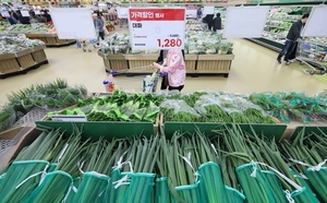 “5월 농산물, 작년보다 쌀듯”