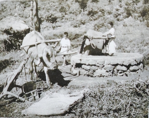 1947년 강화도 바라본 미국인 인류학자… 미공개 사진 130여점 눈길