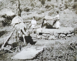 1947년 강화도 바라본 미국인 인류학자… 미공개 사진 130여점 눈길