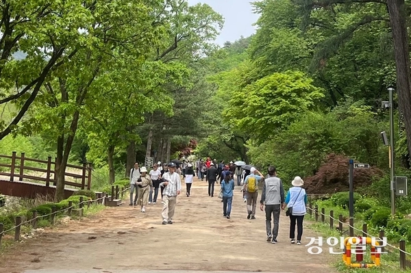 관악수목원 봄 임시개방 기간중 시민들이 초록으로 물든 수목원 내부를 산책하고 있다. /안양시 제공