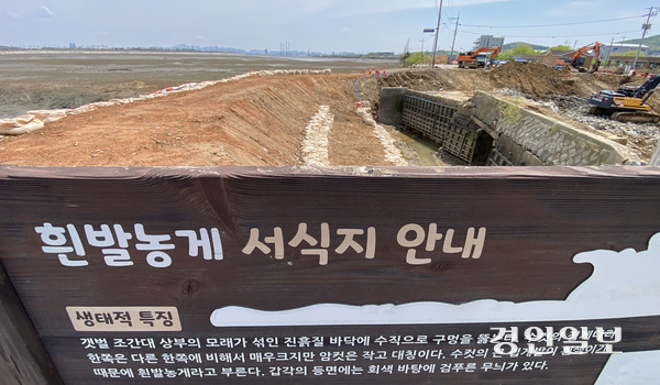인천시 중구 영종동 해안순환도로 동강천 교량공사현장 한켠에 멸종위기 야생생물 II급이자 인천 깃대종 흰발농게 서식지 알림판이 놓여져 있다. 2025.5.2 /조재현기자 jhc@kyeongin.com
