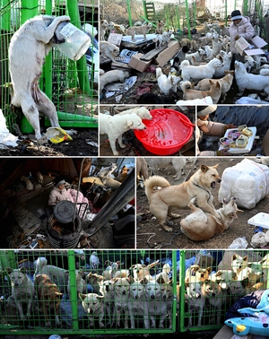 경인일보 임열수 부장 ‘이달의 보도사진상’
