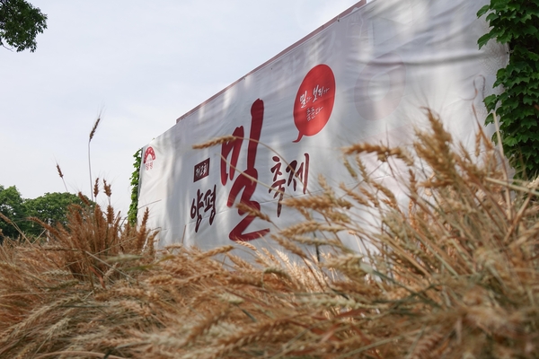 지난해 열렸던 제 2회 양평 밀 축제. /양평군 제공