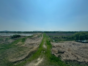 [설 곳 없는 철새·(上)] 아름다운 ‘새들의 고양’… 쓰레기·지뢰 뒤섞여 고통
