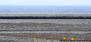 쉴 새 없이… 지역 발전 고민하다 잃어버린 도래지 [설 곳 없는 철새·(上)]