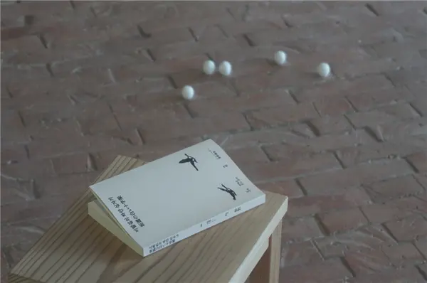 변혜은 작가가 개인전 개최와 함께 출간한 산문집 ‘비탈길의 하얀 십자가’(콘노 유키 역, 김민정 디자인)가 전시장에 전시된 모습. 책 위쪽으로 작가의 작품 ‘하얀 낑깡’(2025)이 보인다. /변혜은 제공