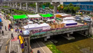 용인중앙시장 ‘김량장’에서 놀장 팝업