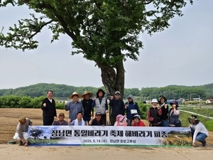 연천 장남면 주민자치위, 호로고루에 해바라기 씨앗 파종