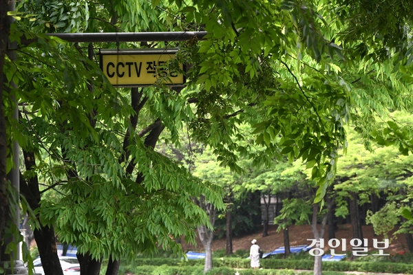 22일 수원시 권선구의 한 거리에 설치된 방범용 CCTV가 나뭇잎에 가려 제 기능을 하지 못한채 방치되고 있다. 2025.5.22 /최은성기자 ces7198@kyeongin.com