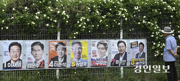 제21대 대통령선거를 12일 앞둔 22일 수원시내 한 장미꽃 담장에 설치된 선거 벽보를 한 시민이 바라보고 있다. 2025.5.22 /이지훈기자 jhlee@kyeongin.com