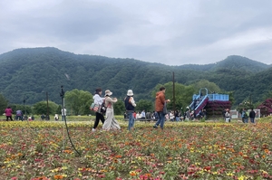 ‘경기대표관광축제’ 자라섬꽃 페스타, 개막 첫날 7천여명 방문