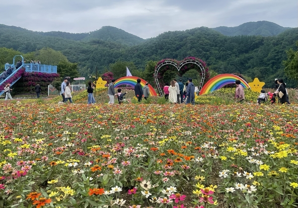 지난 24일 가평군 자라섬 남도에서 개막한 ‘자라섬꽃 페스타’를 찾은 방문객들이 꽃 정원을 거닐고 있다. 2025.5.24 가평/김민수기자 kms@kyeongin.com