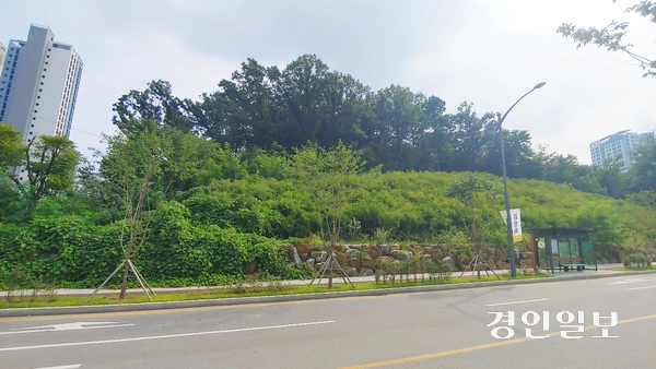 과밀 해소를 위해 단설중학교가 조성될 과천시 갈현동 지식정보타운 근린공원 3부지. /경인일보DB