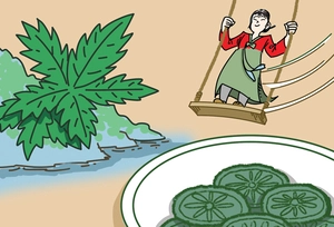 [참성단] 단오, 그리고 강화 약쑥