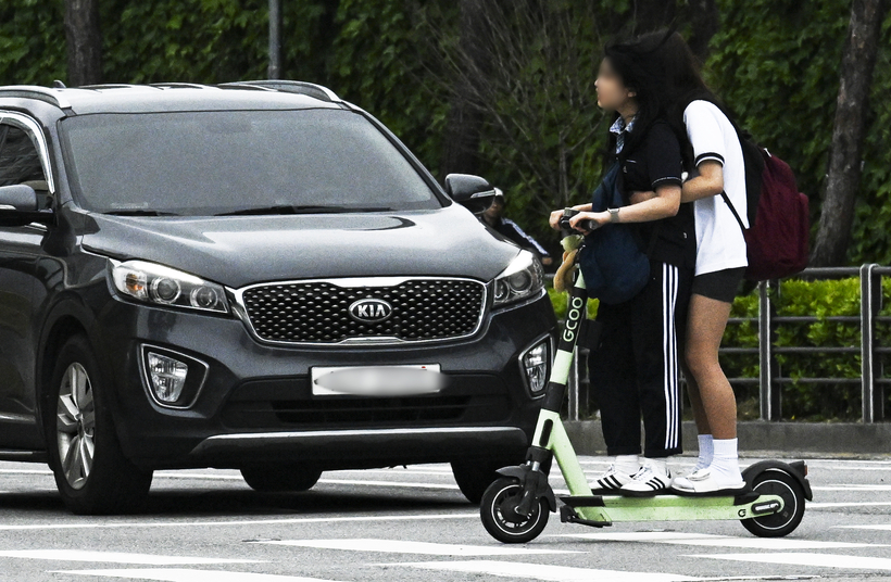 고라니처럼 갑자기 툭… ‘킥보드 없는 거리’ 생길까