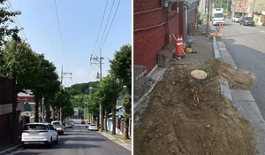 ‘한쪽선 나무 심고, 한쪽선 자르고’… 평택시 ‘엇박자 수목정책’ 비난 쇄도