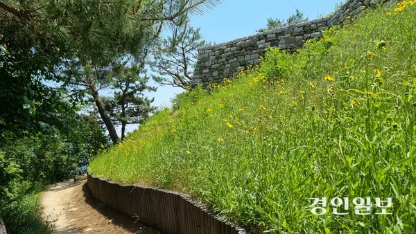 아차산 4보루를 복원한 모습. 보루는 사다리꼴 모양으로 기울어져 안정감 있게 축조됐다. 2025.6.5 구리/권순정기자 sj@kyeongin.com
