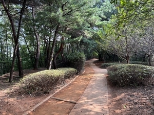 광명시, 시민제안으로 ‘맨발 걷기 산책로’ 3곳 추가 조성 추진