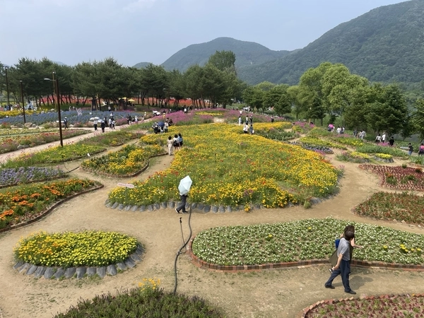 지난 7일 가평 자라섬꽃페스타를 찾은 시민들이 캘리포니아 양귀비 등으로 꾸며진 대한민국 지도를 감상하고 있다. 2025.6.7 가평/김민수기자 kms@kyeongin.com